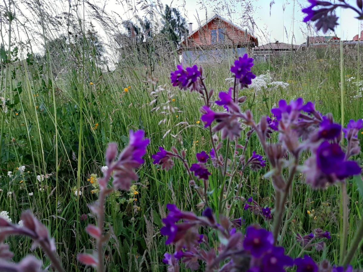 Вила Орцево Vila Ortsevo Esterno foto