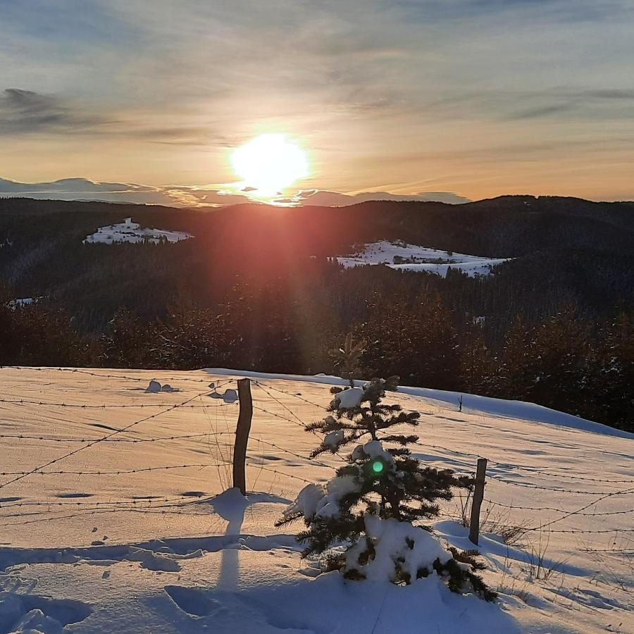 Вила Орцево Vila Ortsevo Esterno foto