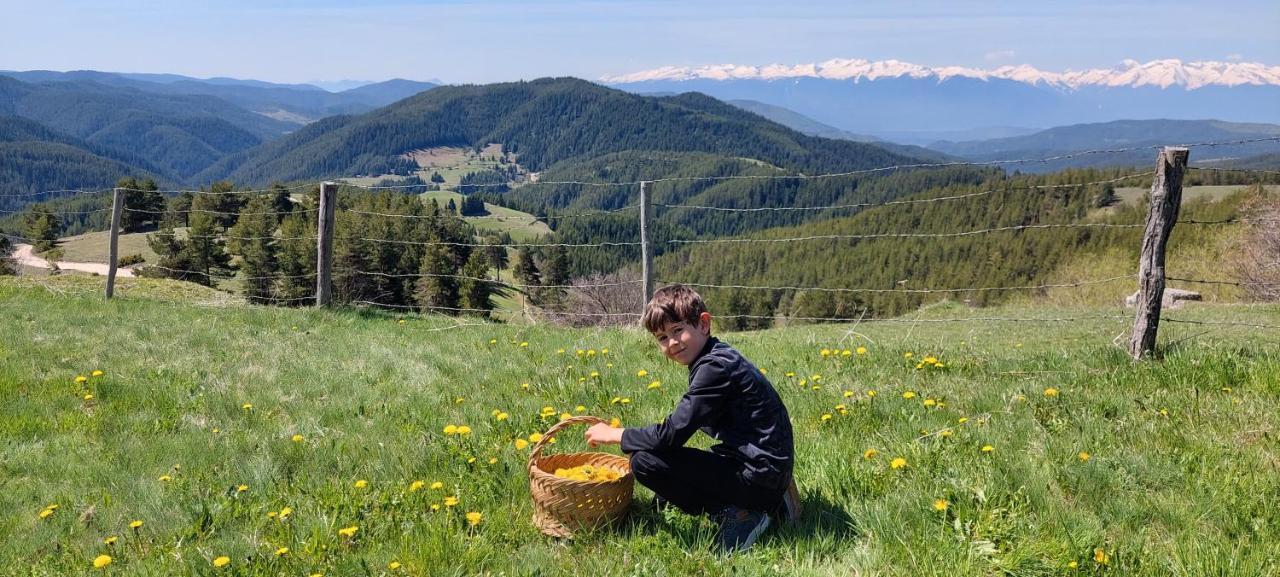 Вила Орцево Vila Ortsevo Esterno foto