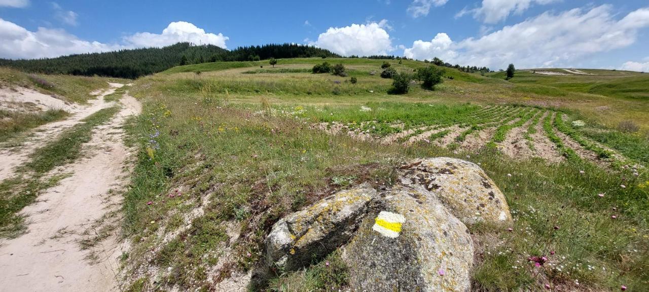 Вила Орцево Vila Ortsevo Esterno foto