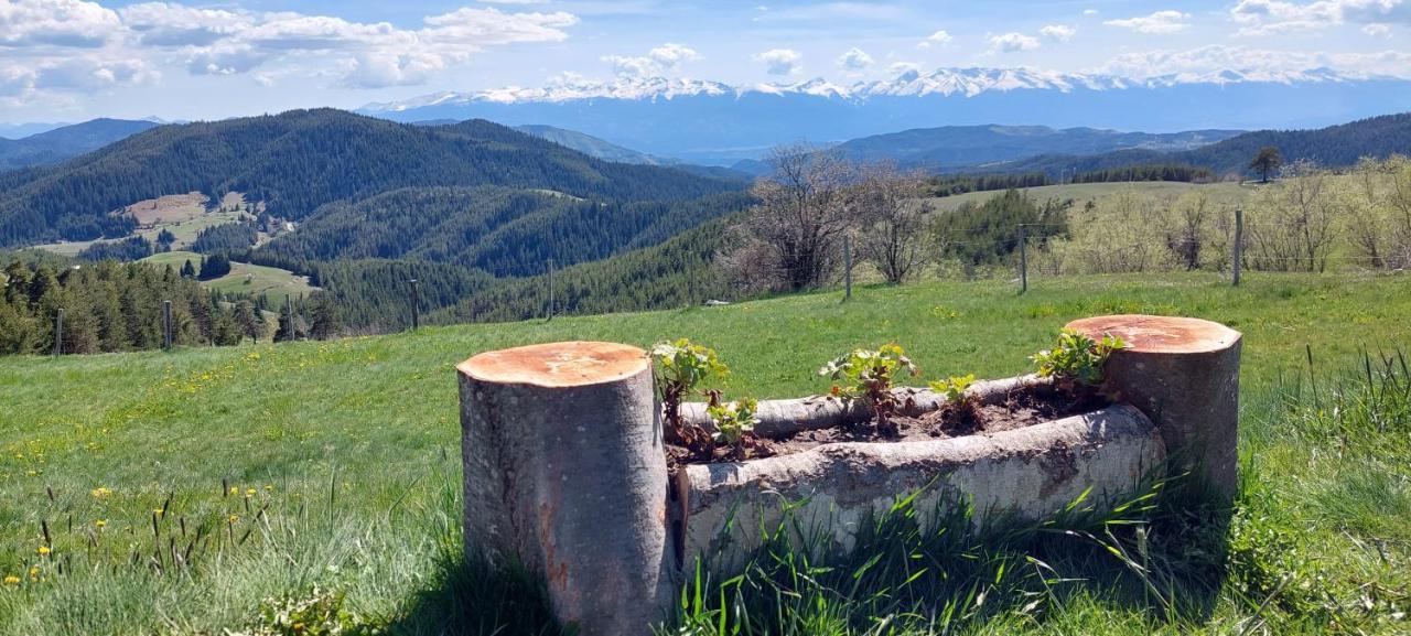 Вила Орцево Vila Ortsevo Esterno foto
